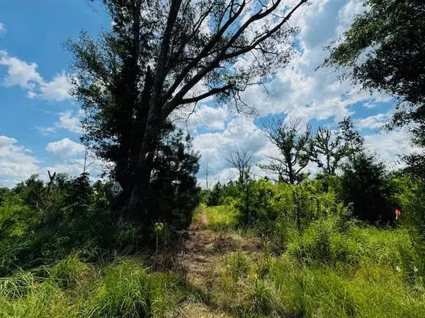 Liberty, MS 39645,Street Road