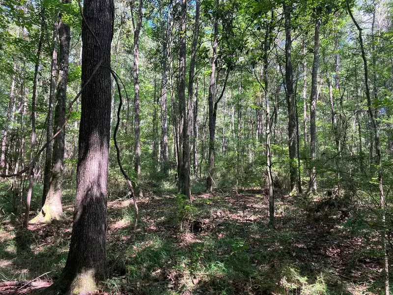 1375 Lower Meadville Road, Bogue Chitto, MS 39629