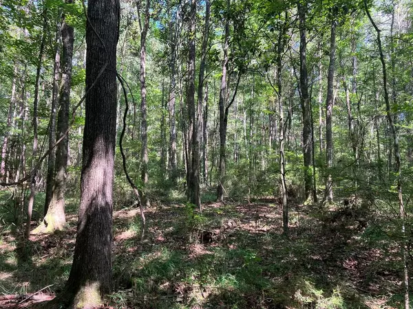 1375 Lower Meadville Road, Bogue Chitto, MS 39629