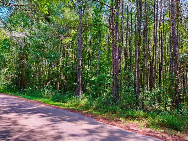 44 Stoneybrook Trail, Bogue Chitto, MS 39629