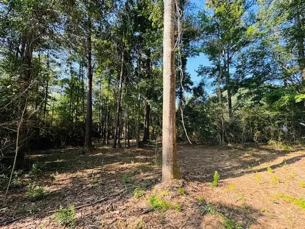 LA 70438,Elmer Magee Road