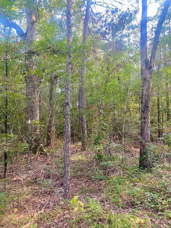 Jayess, MS 39641,0 Hulon Brister Road