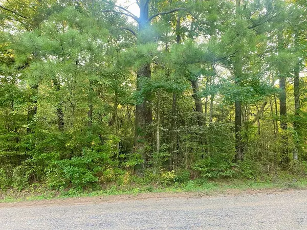 Jayess, MS 39641,0 Hulon Brister Road