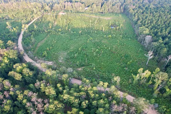 Meadville, MS 39653,1603 Bonus Road