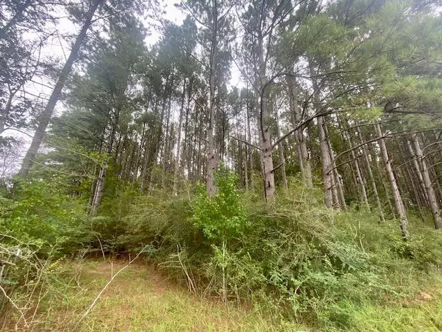 Airline H Way, Tylertown, MS 39667