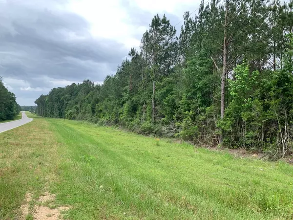 Silver Creek, MS 39663,Fergson Rd/barber Rd/crooked Creek Road