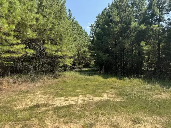 Crosby, MS 39633,0 Airport Road