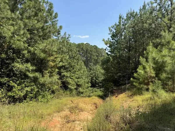 Crosby, MS 39633,0 Airport Road