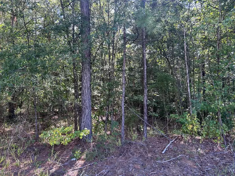 2 Mallard Trail, Summit, MS 39652