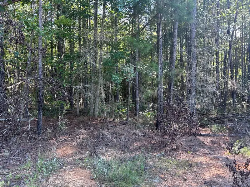 6 Mallard Trail, Summit, MS 39652