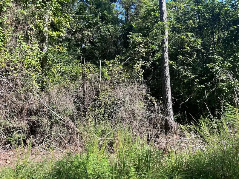 7 Mallard Trail, Summit, MS 39652