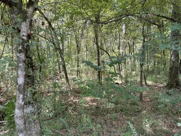 Clinton, LA 70722,Boeneke Road