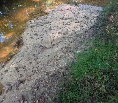 1005 Spring Hill Road, Wesson, MS 39191