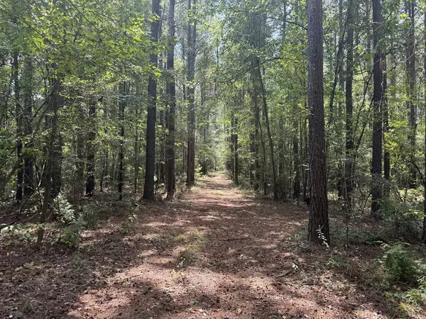 Freeman Road, Liberty, MS 39645