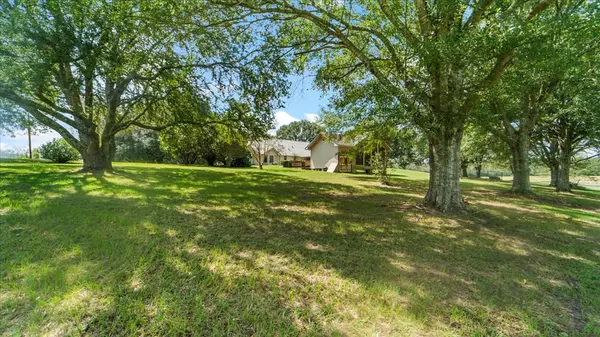 Smithdale, MS 39664,12925 Hwy 98