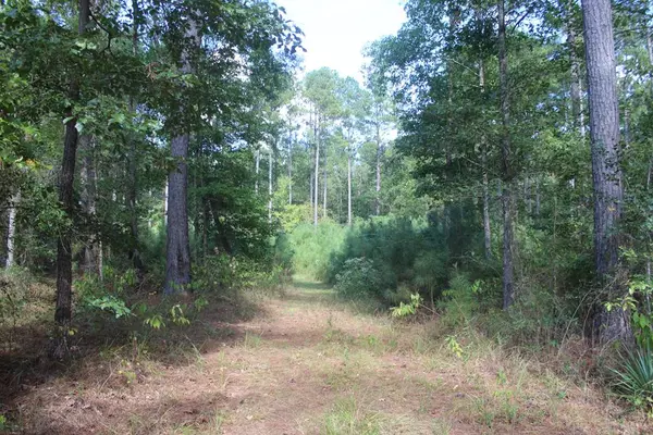 Bogue Chitto, MS 39629,0 River Road Drive Se