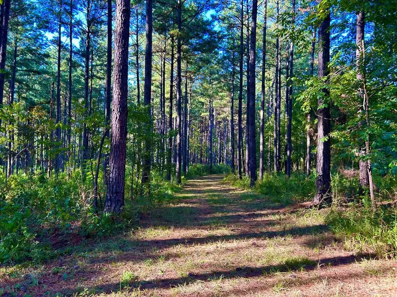 Westbrook Road, Smithdale, MS 39664