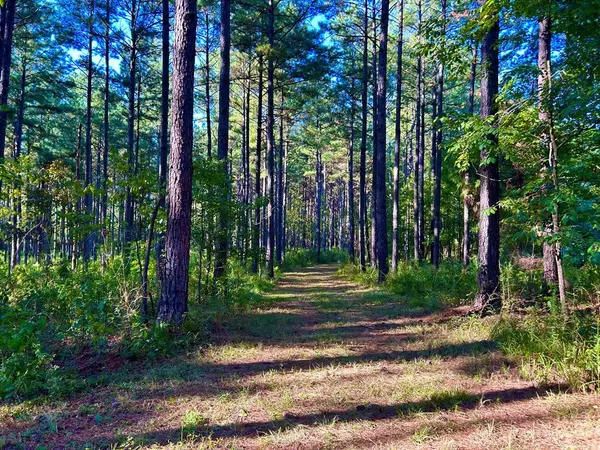 Smithdale, MS 39664,Westbrook Road