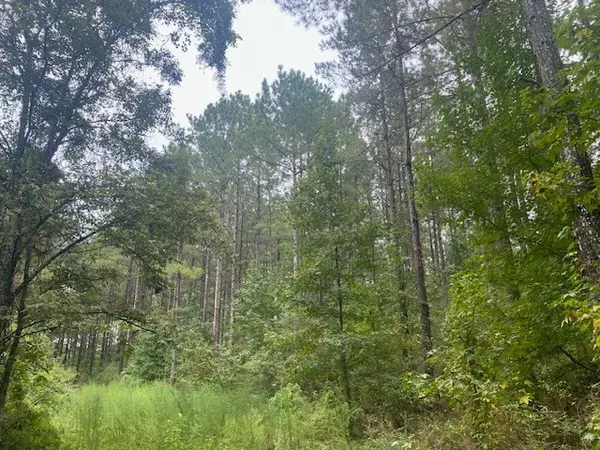 Tylertown, MS 39667,0 Hwy 27