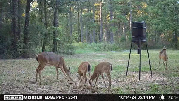 Osyka, MS 39657,Osyka Progress Road