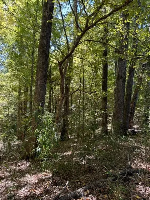 Port Gibson, MS 39150,Rodney Road