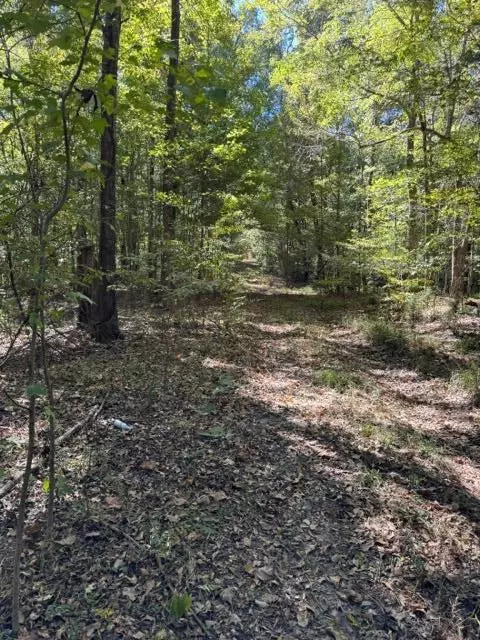 Port Gibson, MS 39150,Rodney Road