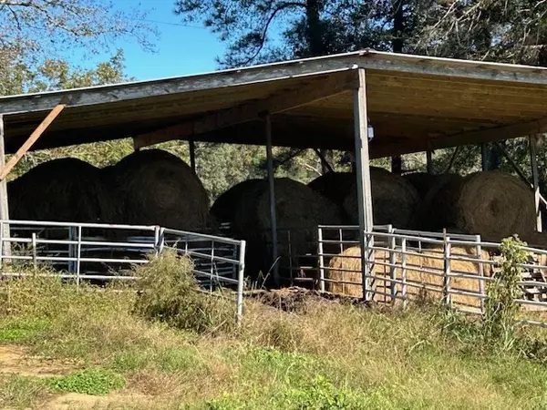 Magnolia, MS 39652,1057 Joel Lang
