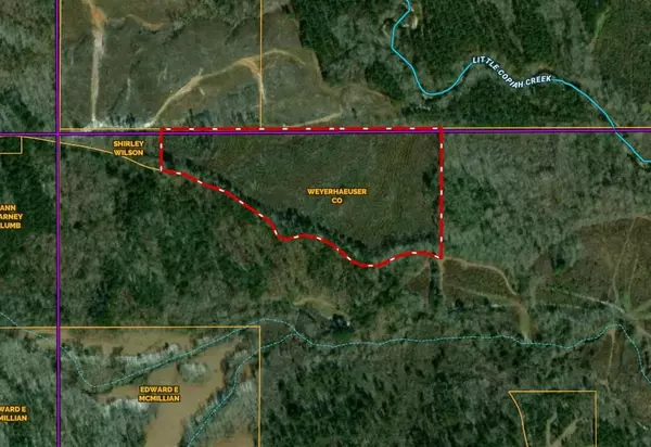 Pitts Lane, Crystal Springs, MS 39059