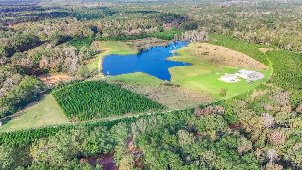 3199 Pepper House Road, Centreville, MS 39631