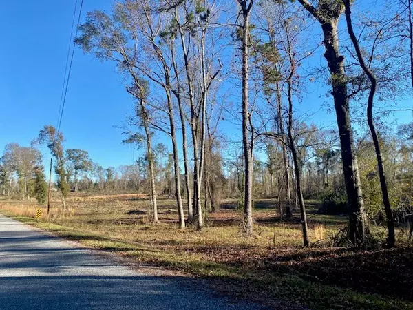 Summit, MS 39666,Ole Springs Road