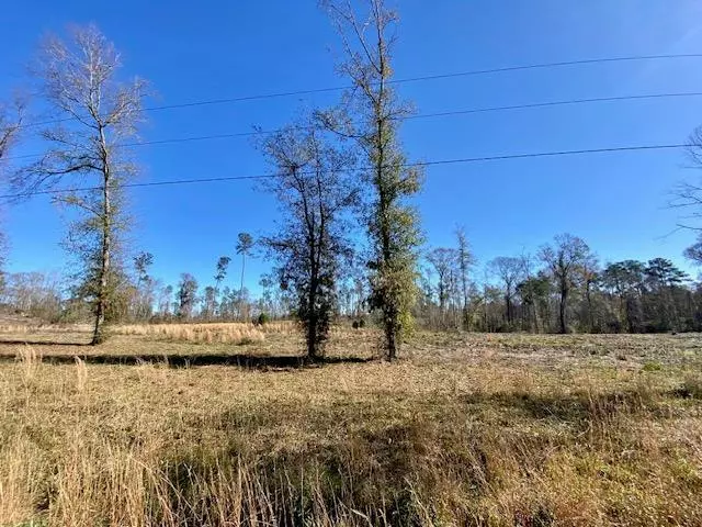Ole Springs Road, Summit, MS 39666