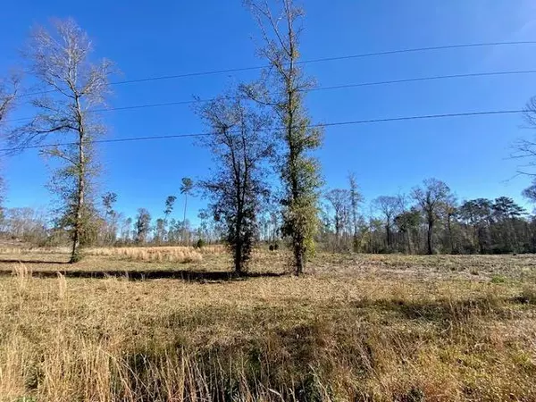 Summit, MS 39666,Ole Springs Road