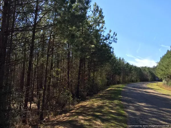 Wesson, MS 39191,610 Mt.zion Road