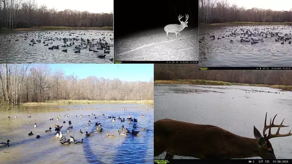 Lorman, MS 39096,199 Robert Williams Road