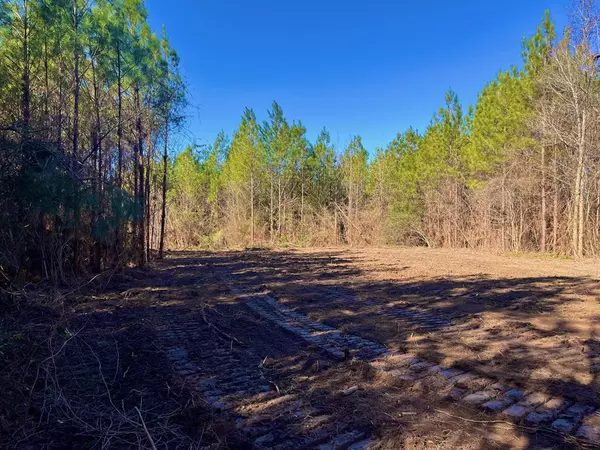 Ruth, MS 39662,3046 Reeves Rd Se