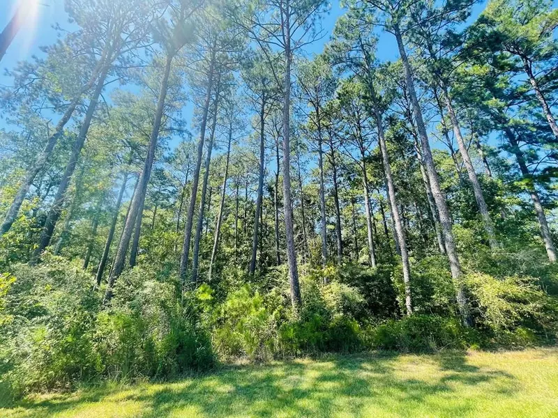 Homesville Road Sw, Bogue Chitto, MS 39629