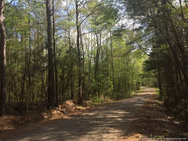 Ruth, MS 39662,25 Sauls Road