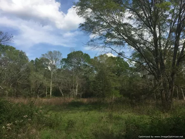 Ruth, MS 39662,25 Sauls Road