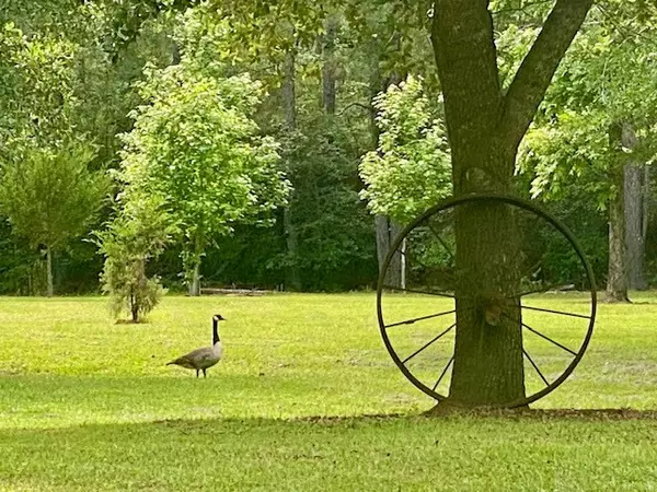 Summit, MS 39666,6113 Womack Road