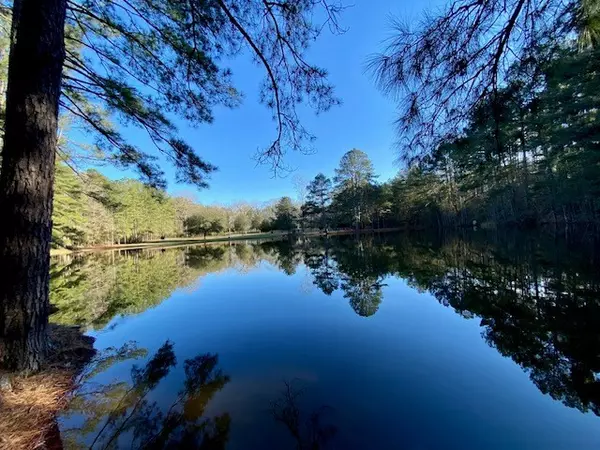 Summit, MS 39666,6113 Womack Road