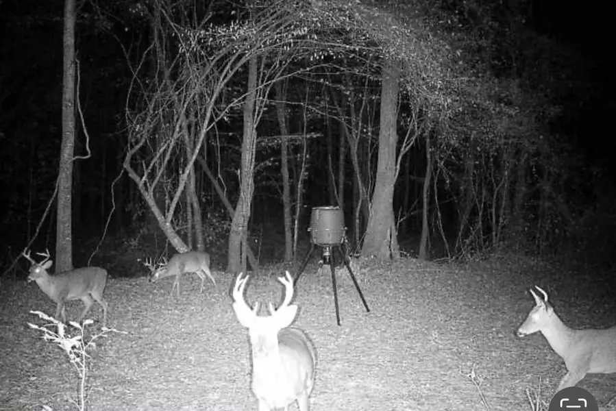 65 Henry Smith Road Ne, Monticello, MS 39654