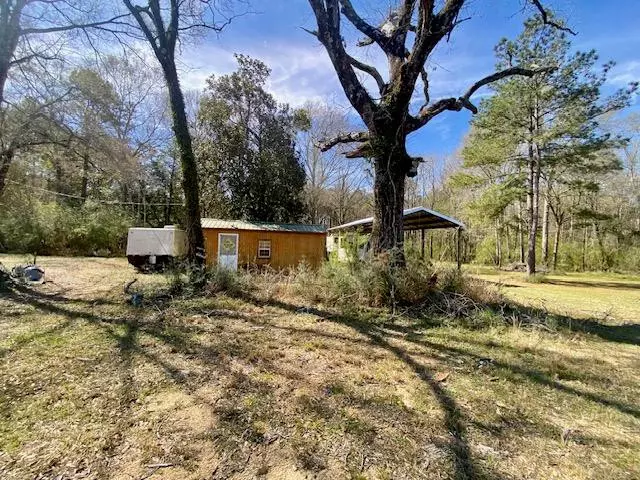 Beansie Rushing, Tylertown, MS 39667