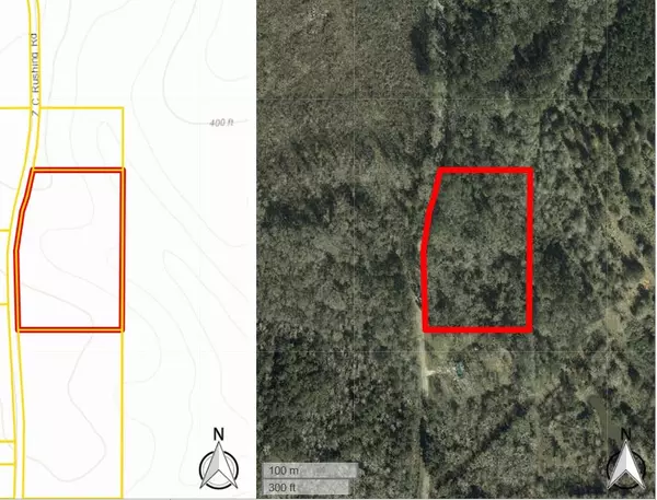 Tylertown, MS 39667,Zc Rushing Road