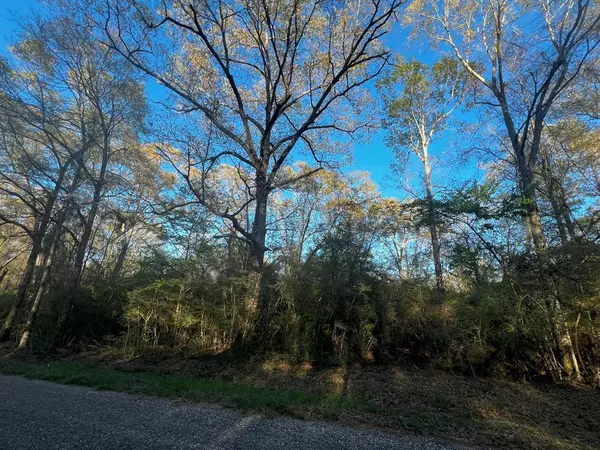 Tylertown, MS 39667,Zc Rushing Road