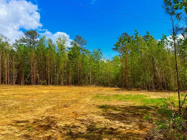 Ruth, MS 39662,1111 Reeves Road