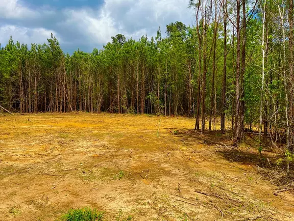 Ruth, MS 39662,1111 Reeves Road