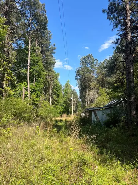 1049 Candy Lane, Mccomb, MS 39648