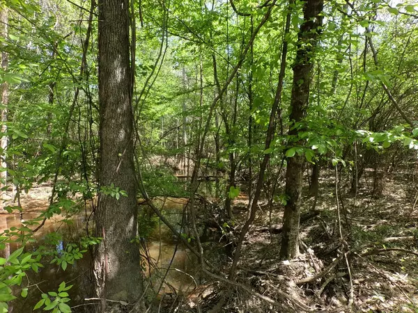 Wesson, MS 39191,7075 Martinsville Road