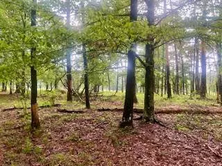 450 Apple Trail, Bogue Chitto, MS 39629