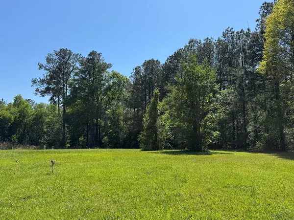 Smithdale, MS 39664,Bogue Chitto Road